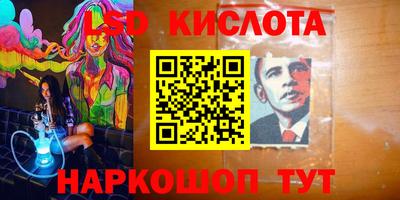 дмт Кингисепп