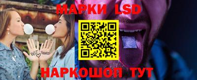 дмт Кингисепп