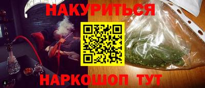 дмт Кингисепп