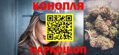 дмт Кингисепп