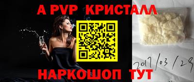 дмт Кингисепп